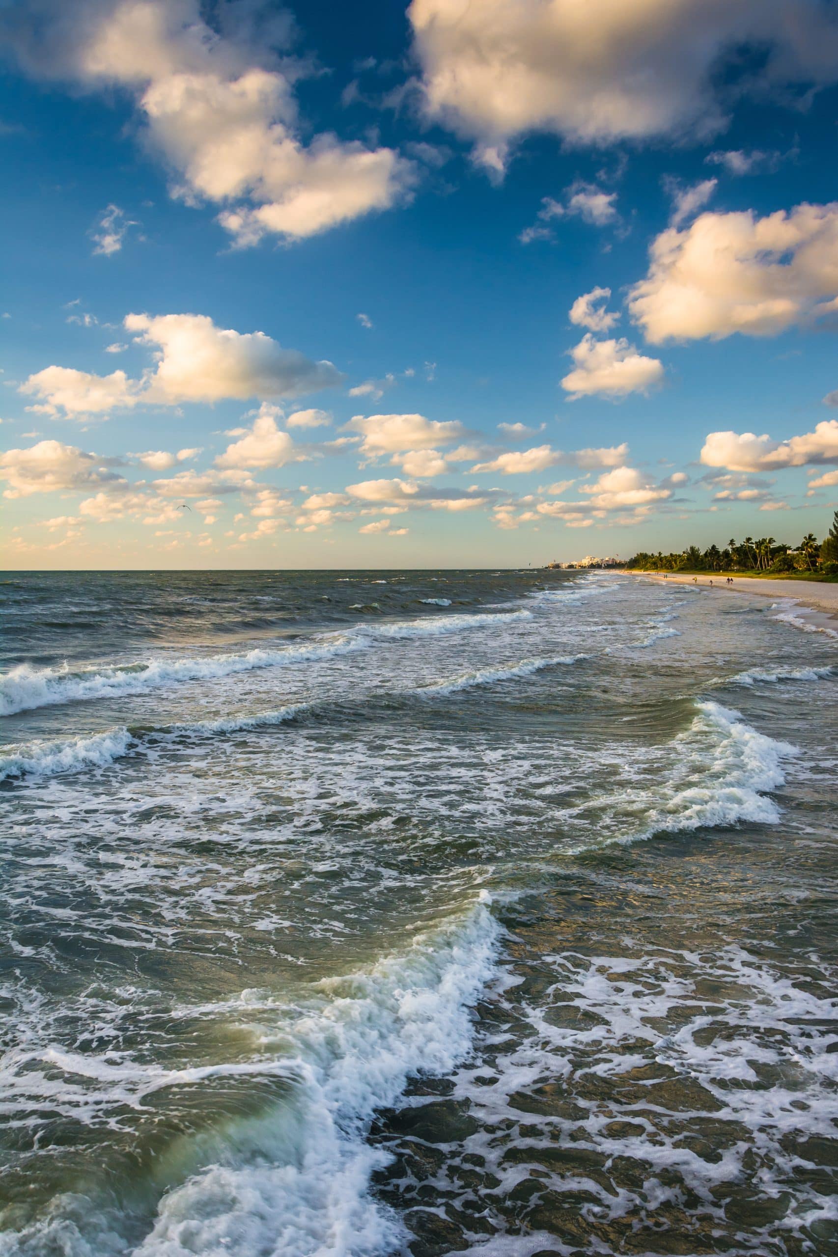 Waves in the Gulf of Mexico